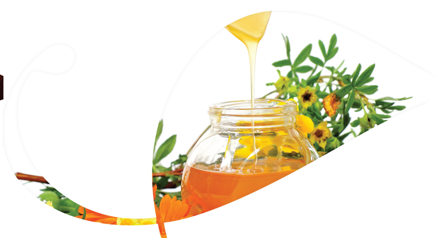 Aljawhara Salon Beauty Center Qatar Hair Makeup Skin Care Qatar Beauty Salon Qatar